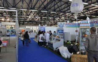 專業(yè)會(huì)展與展覽服務(wù)概述